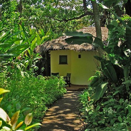 Moivaro Coffee Lodge Arusha Esterno foto