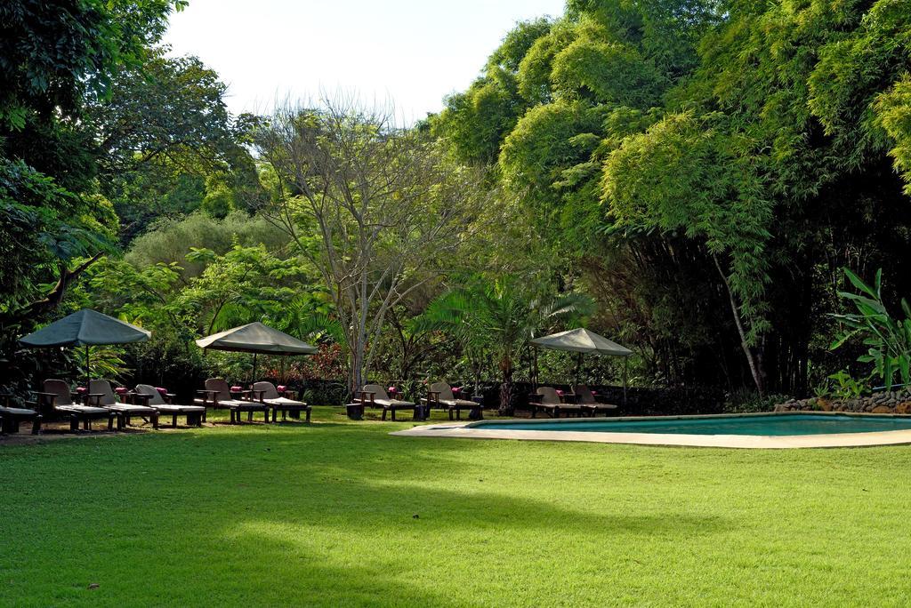 Moivaro Coffee Lodge Arusha Esterno foto