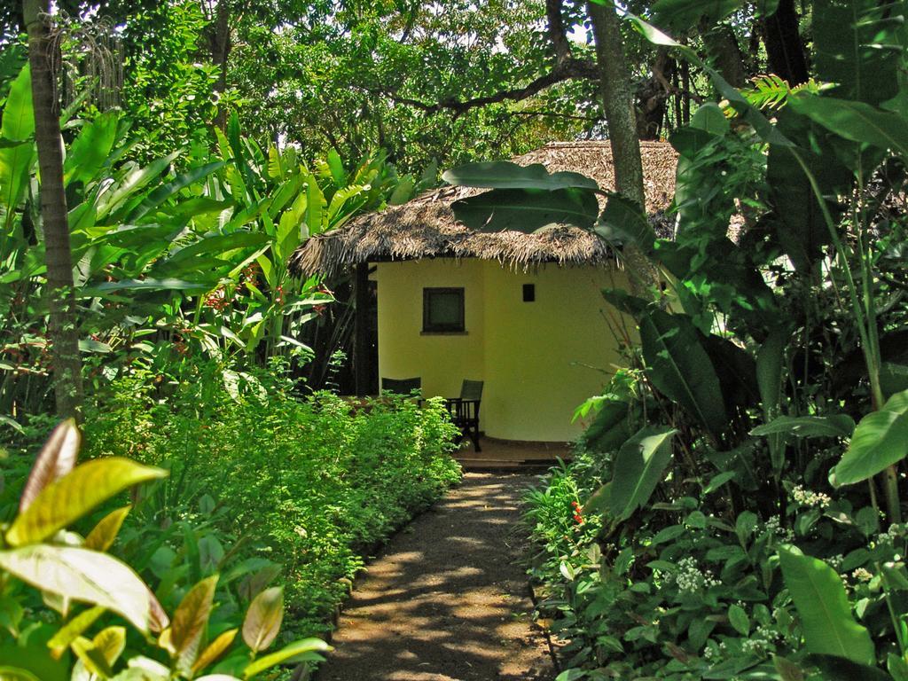 Moivaro Coffee Lodge Arusha Esterno foto